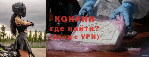 стаф Вязьма
