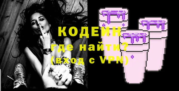 стаф Вязьма