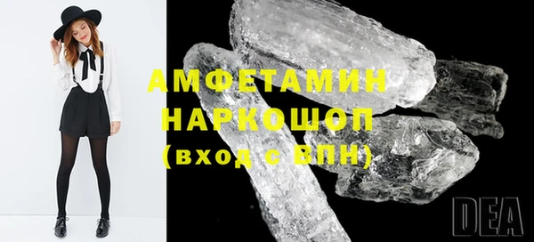 амф Вяземский