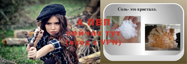 амф Вяземский