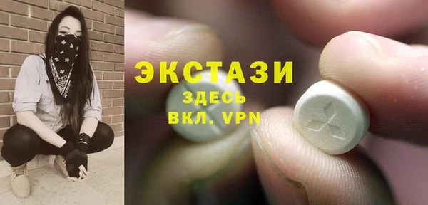 стаф Вязьма