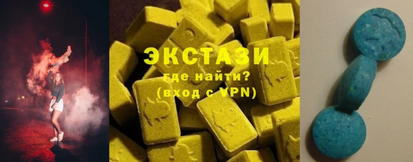 стаф Вязьма