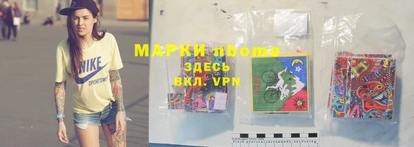 стаф Вязьма