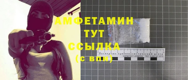 стаф Вязьма