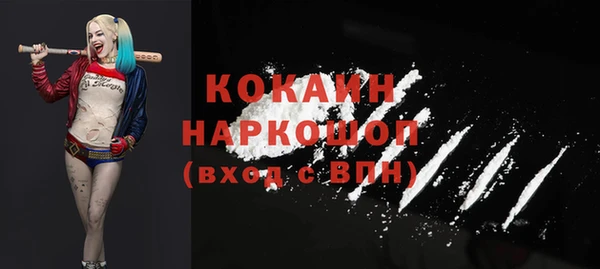 стаф Вязьма
