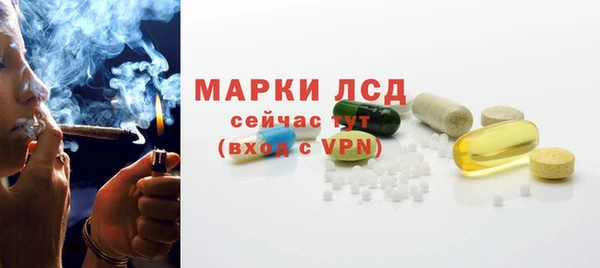 стаф Вязьма