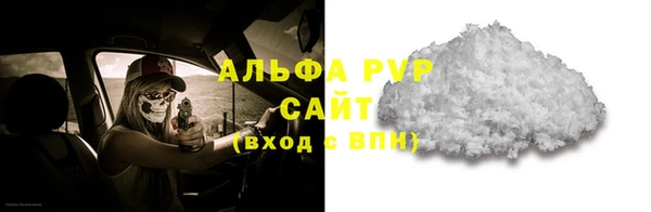 амф Вяземский
