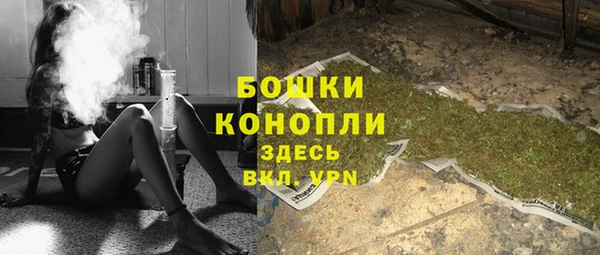 амф Вяземский
