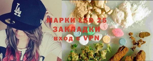 стаф Вязьма