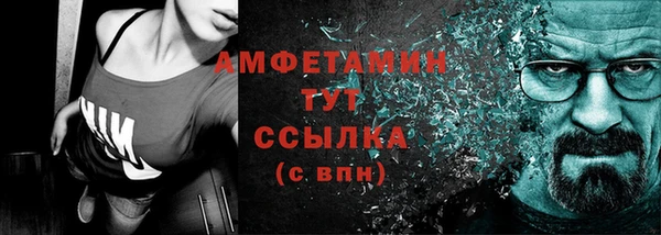 амф Вяземский