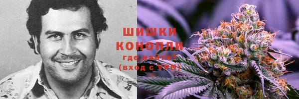 стаф Вязьма