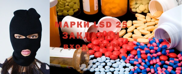 амф Вяземский