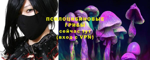 прущий лед Вязники
